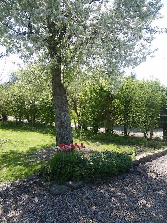 La Griotte & Spa&Piscine Pennedepie Kültér fotó